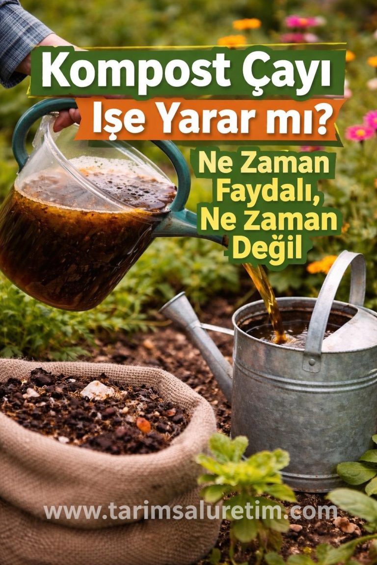 Kompost Çayı İşe Yarar mı? Ne Zaman Faydalı, Ne Zaman Değil 1 Kompost Cayi Ise Yarar mi Ne Zaman Faydali Ne Zaman Degil 1 1