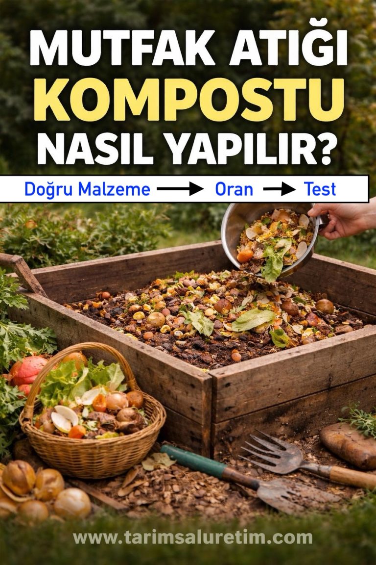 Mutfak Atığı Kompostu Nasıl Yapılır? Doğru Malzeme, Oran, Test 10 Mutfak atığı komposto