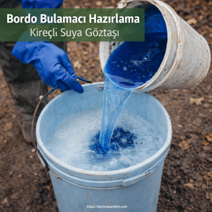 göz taşı ve kışlık yağ uygulaması 