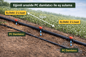 Damla sulama projelendirme 